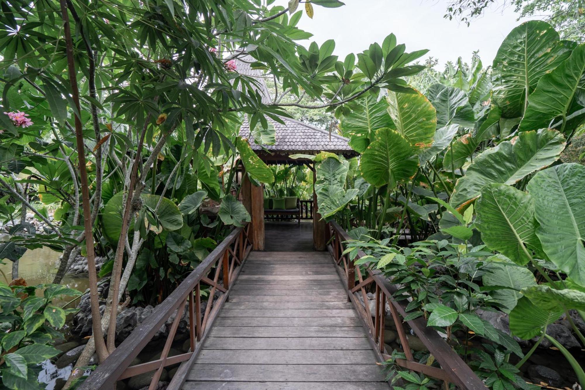 Kropak Canggu ภายนอก รูปภาพ